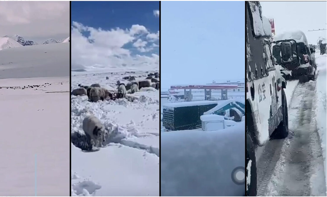 Heavy Snowfall in Tibet Damages Homes and Leaves Around 300 Nepalis Stranded